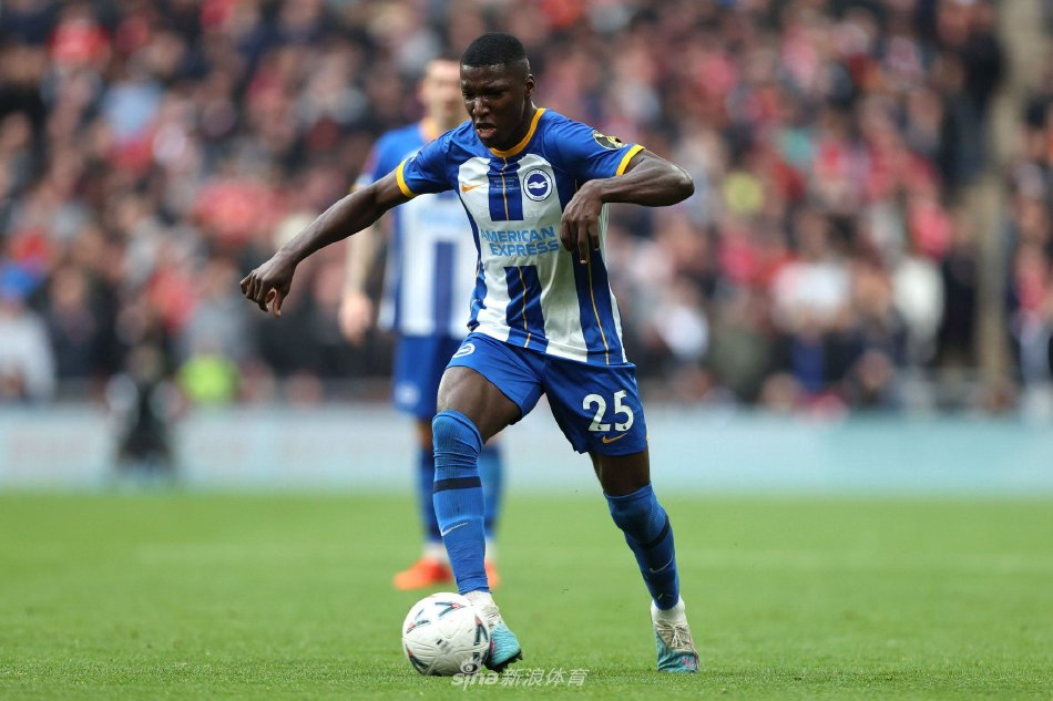 丽马是个 丽马是个